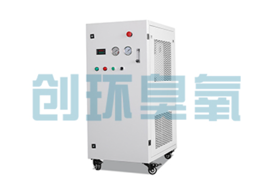 广阳石斑鱼养殖水质调控完整指南：臭氧发生器配置与操作步骤