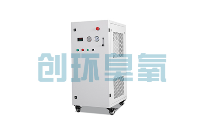广阳比传统换水更高效？臭氧发生器在石斑鱼养殖中的水质净化原理解析